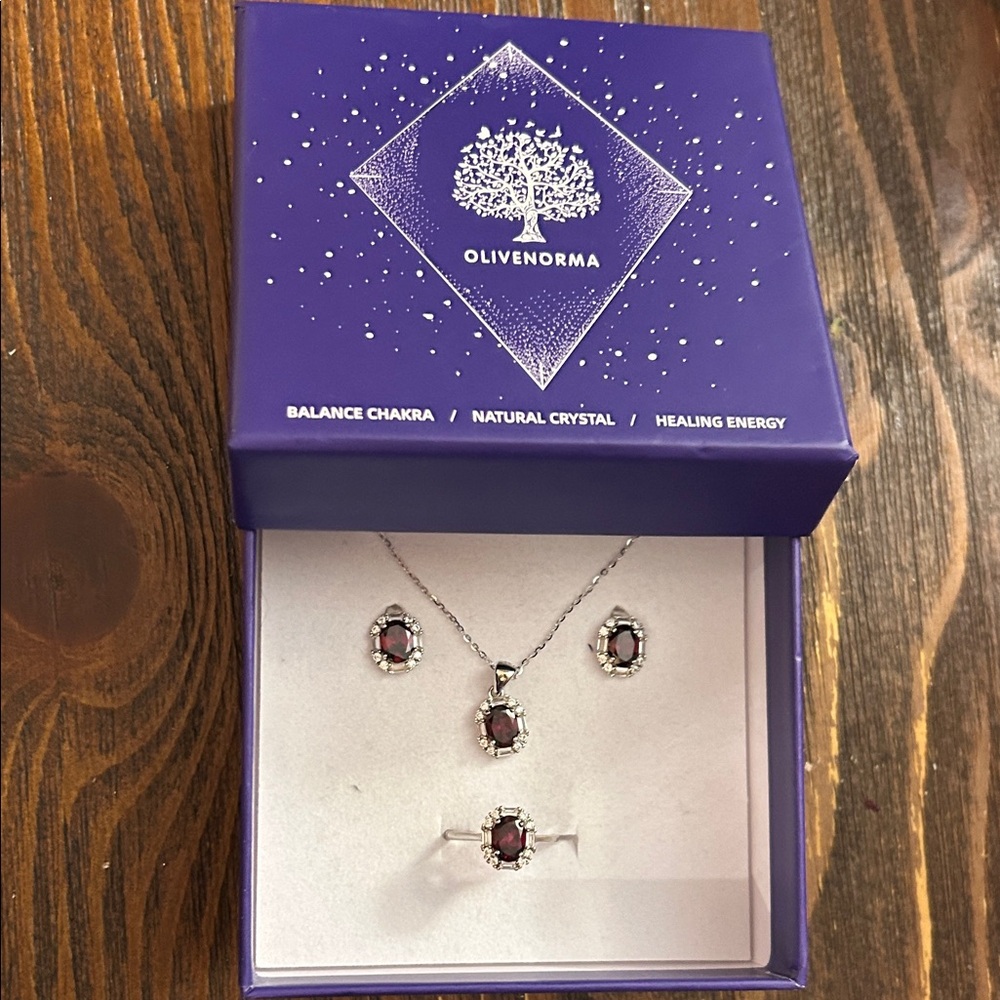 NWT Olive Norma January Birthstone Garnet Jewelry Set